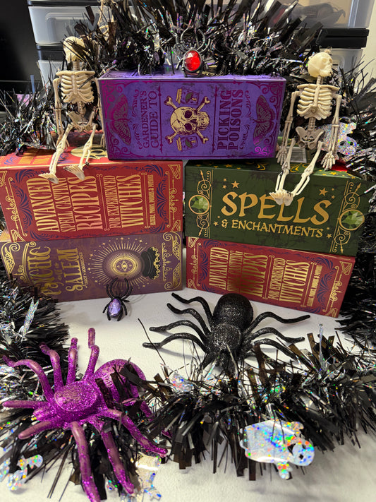 MYSTERY Halloween Boo Boxes