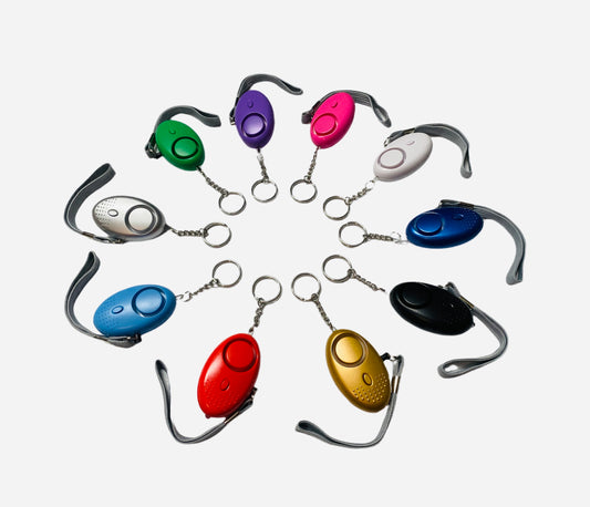 Security Alarm and Flashlight